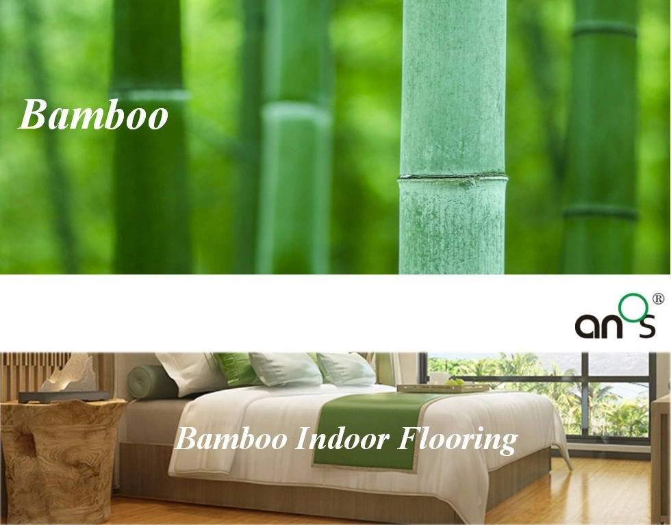 E0 Grade Soundproof Home Kindergarden Decoration Day Care Play Bamboo Flooring with EVA Mat